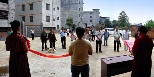 大美伏溪旅游開發及長樂鄉常君農副產品加工廠開業剪彩