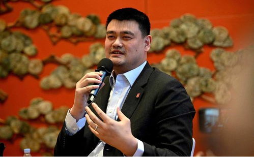 前籃協(xié)主席姚明 建議未成年人息屏24小時,讓更多的青少年走向運動場