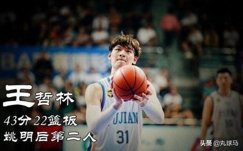 cba獨一份,27歲的mvp被轟去電子廠,是什么毀了王哲林