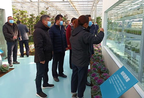 中農富興 精品案例之開封愛思嘉農業嘉年華植物工廠 組培室項目