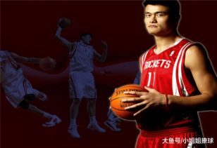 如何評(píng)價(jià)姚明的職業(yè)生涯
