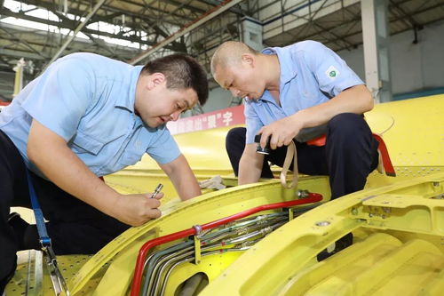 在這片奮斗的土地上