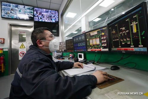 интенсивное производство зерновых масличных продуктов провинции хэйлунцзян