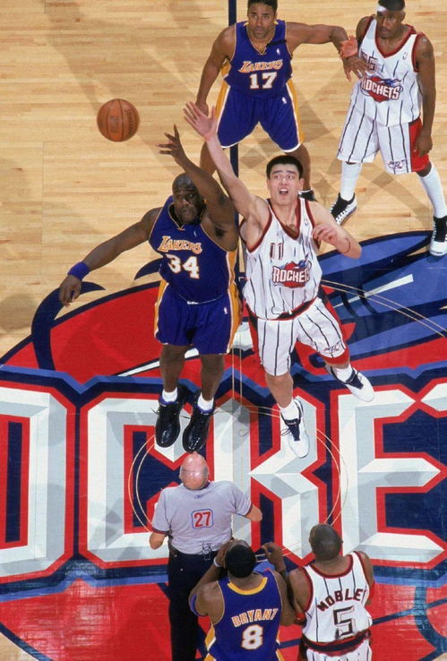 中國長城 姚明高清大圖