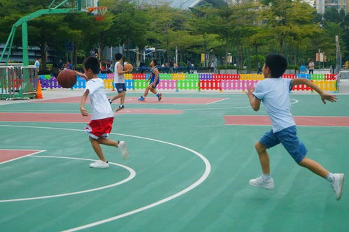 你好姚明 再見科比 18年后nba與中國籃球尋找全明星